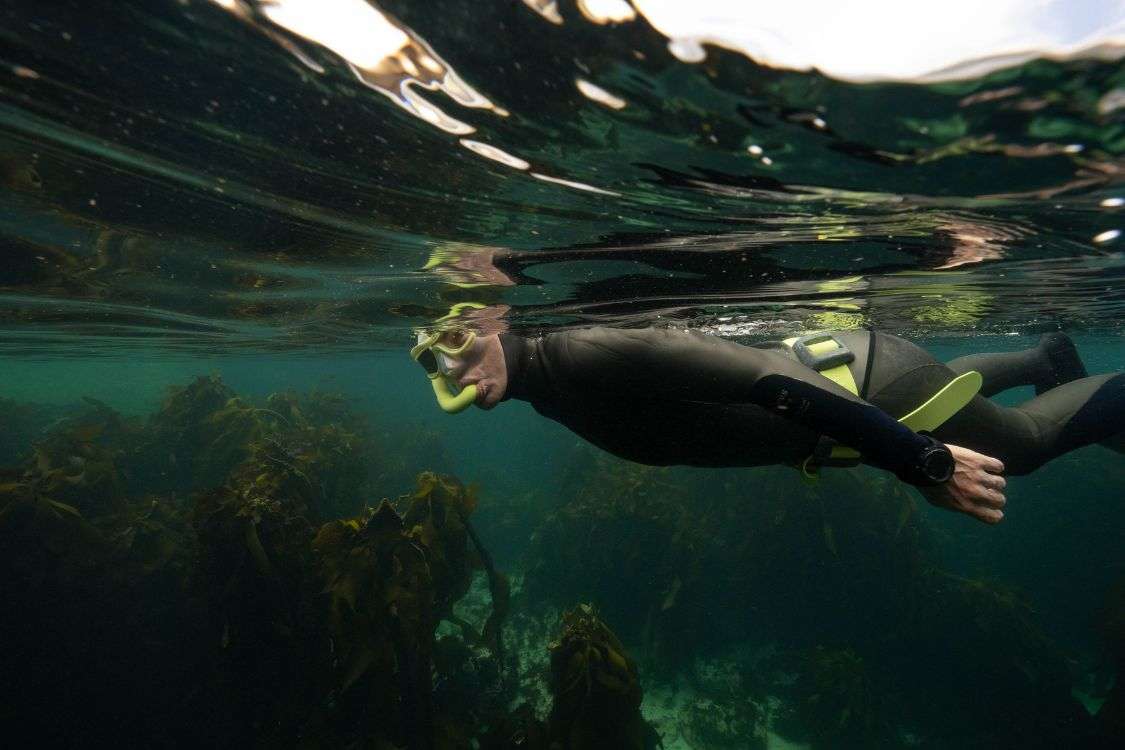 Exploring the Ocean's Wonders: A Journey into Snorkelling with AGULHAS_1