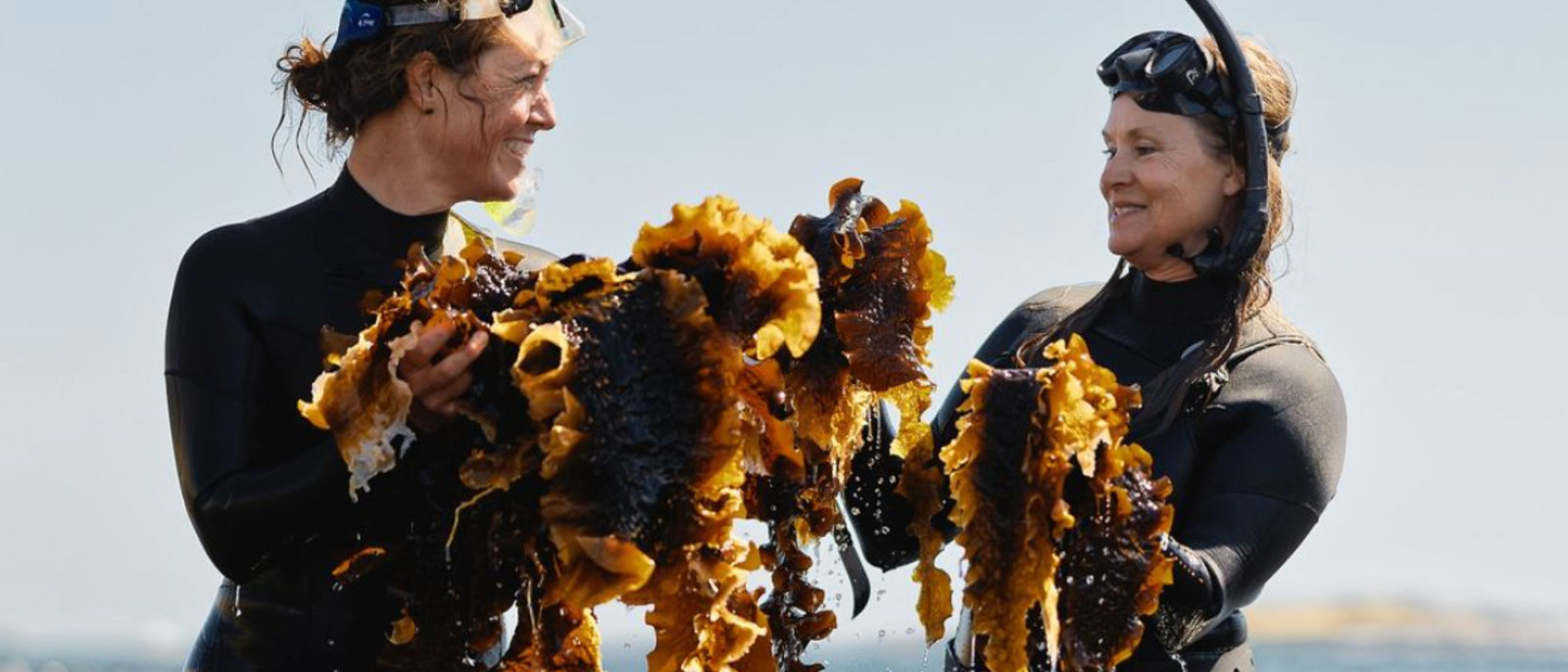 Blue Horizons: Q&A with Swedish Seaweed Divers and Sustainability Advocates