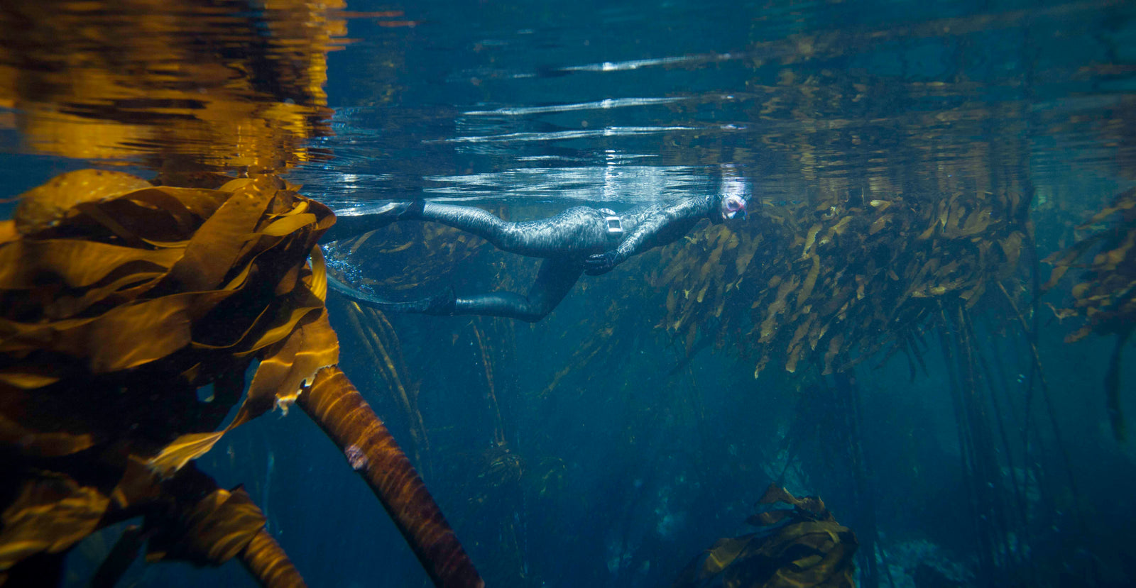 Why We Trek the Sea