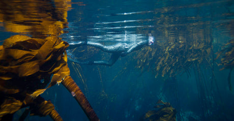 Why We Trek the Sea