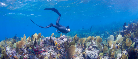 10 Incredible Women and Girls in Science | Ocean Edition